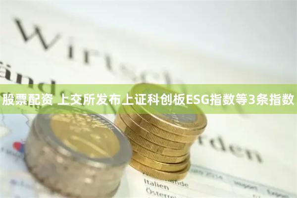 股票配资 上交所发布上证科创板ESG指数等3条指数