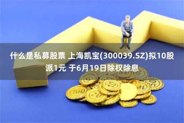 什么是私募股票 上海凯宝(300039.SZ)拟10股派1元 于6月19日除权除息