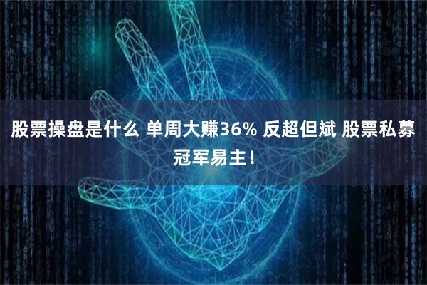 股票操盘是什么 单周大赚36% 反超但斌 股票私募冠军易主！