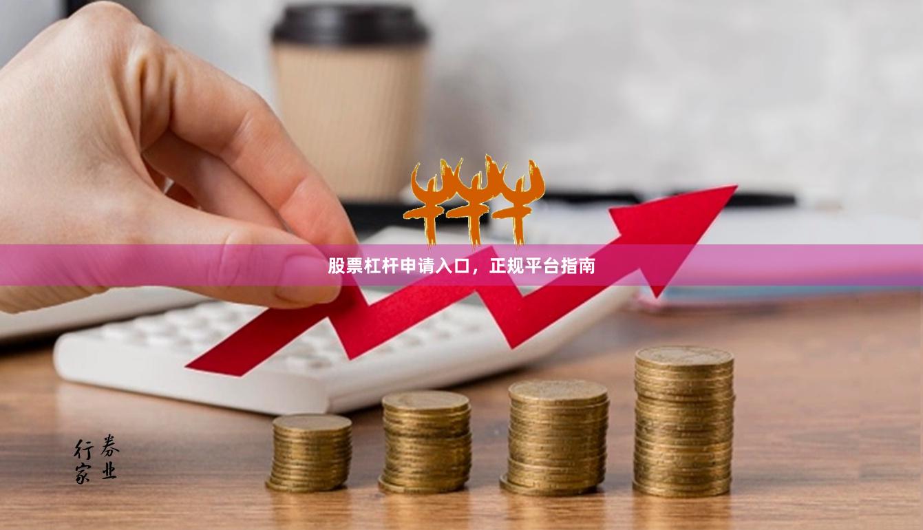 股票杠杆申请入口，正规平台指南