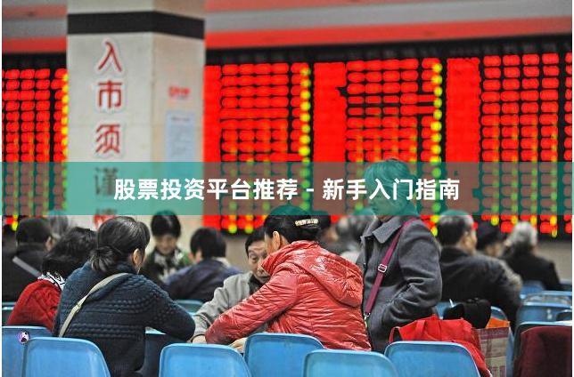 股票投资平台推荐 - 新手入门指南