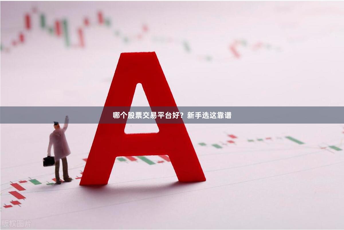 哪个股票交易平台好？新手选这靠谱