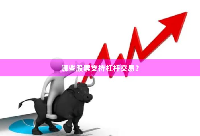 哪些股票支持杠杆交易？