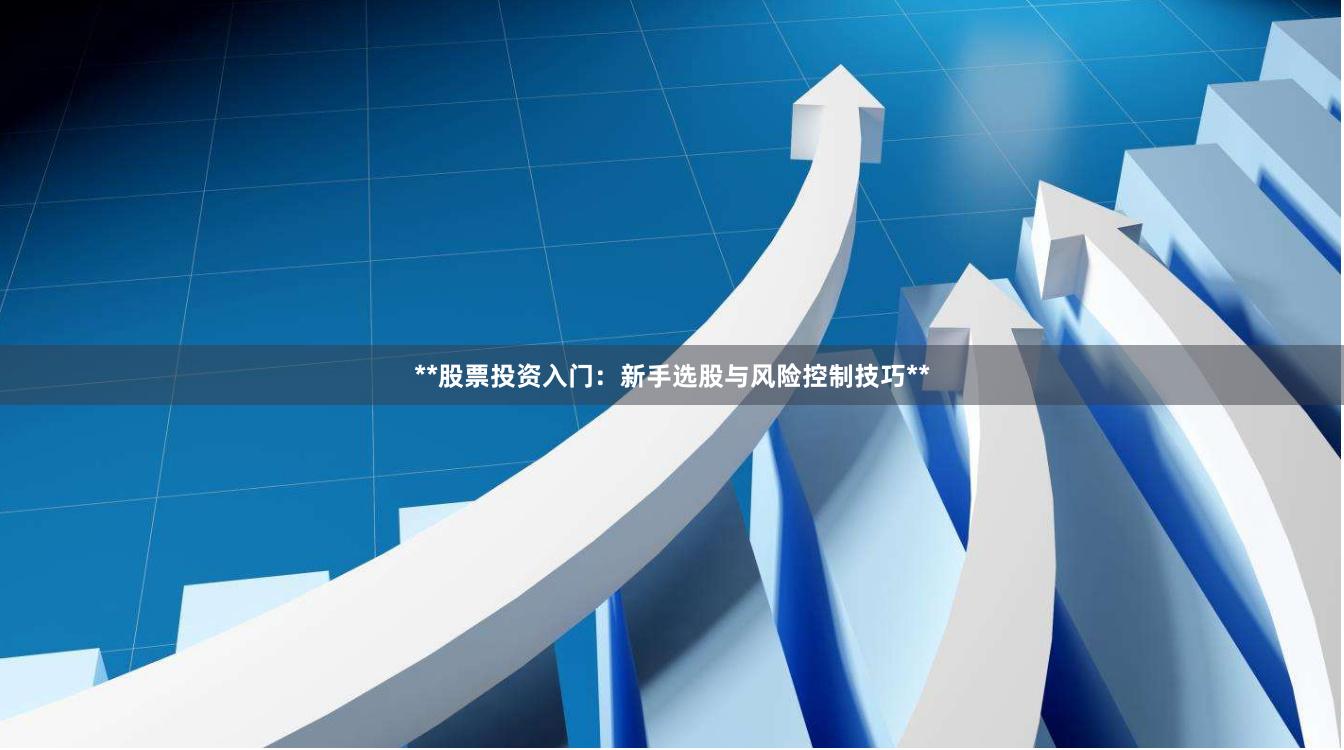 **股票投资入门：新手选股与风险控制技巧**