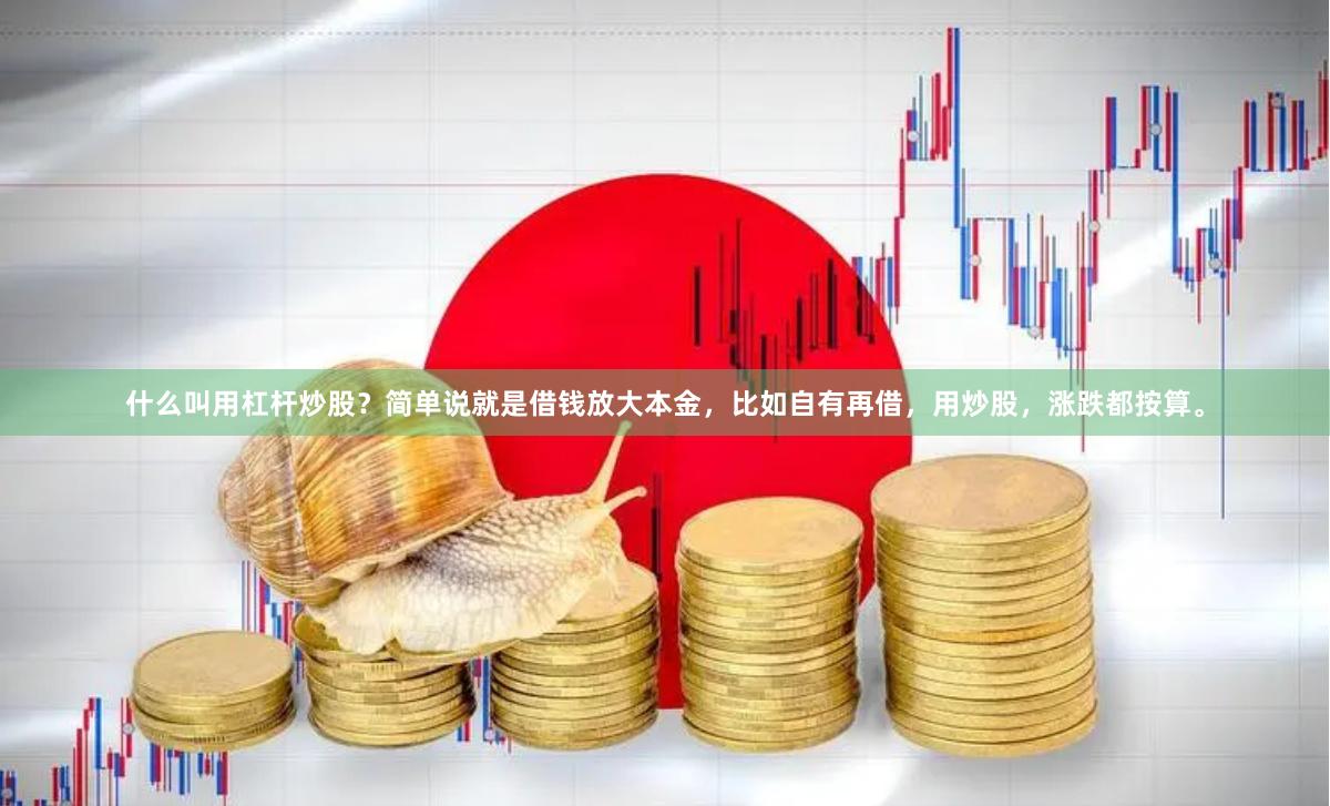 什么叫用杠杆炒股？简单说就是借钱放大本金，比如自有再借，用炒股，涨跌都按算。